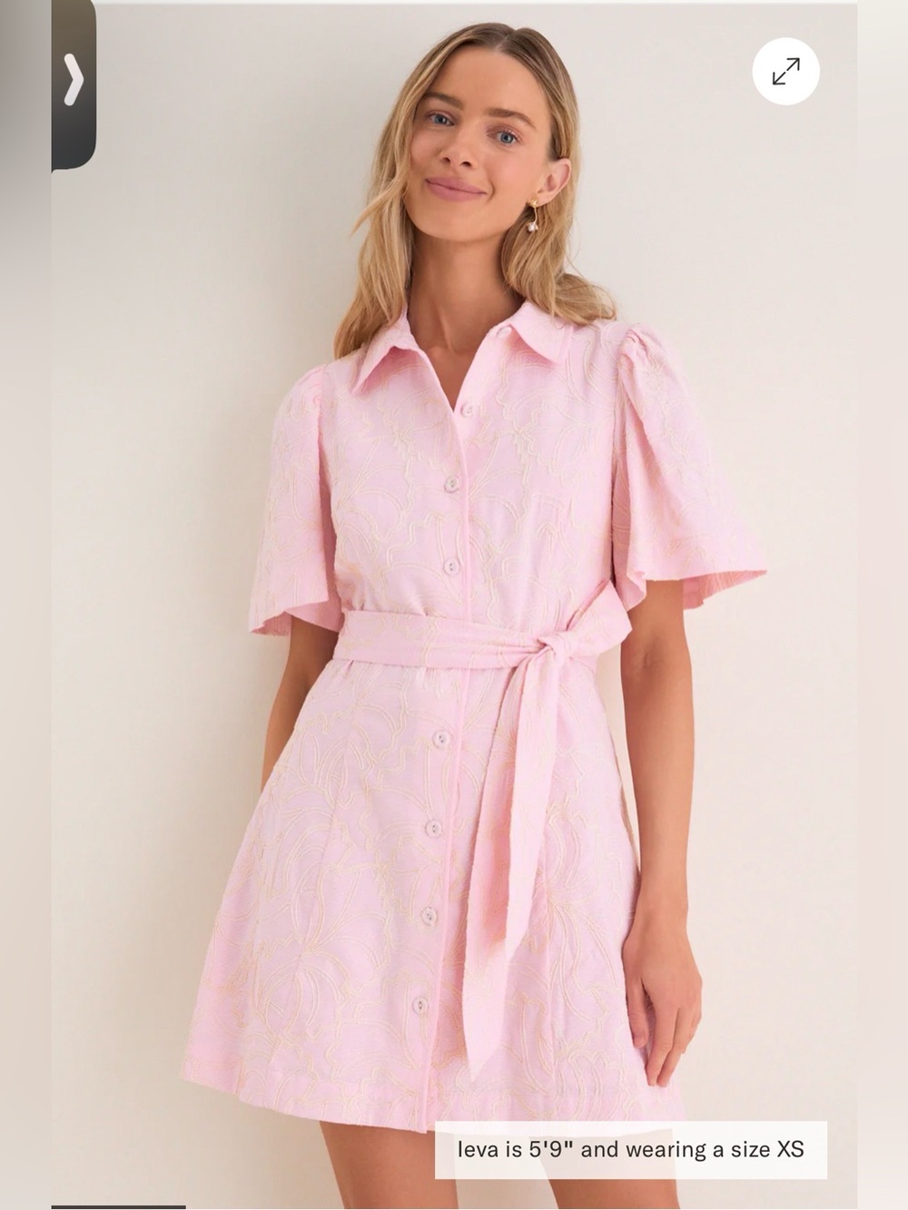 Hyacinth House Embroidered Ginkgo Leaf Peppa Mini Dress NO BELT Size S $168